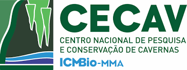 Imagem carregada